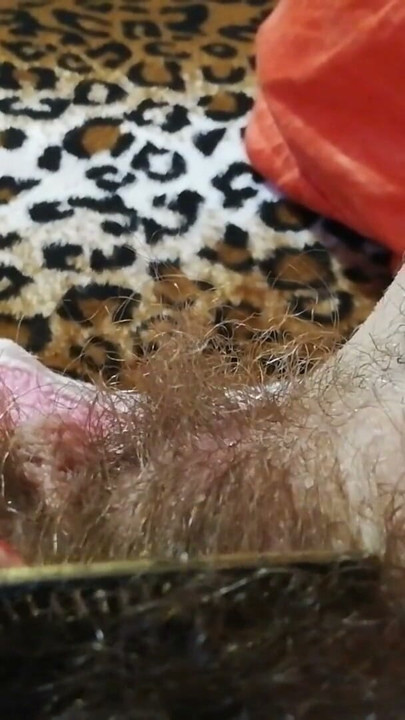 Hairy pussy fetish brushing the bush closeup | Clip 2