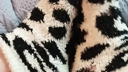 Quit stealing my socks jack