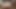 TikTok video 242