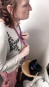 Pregled videozapisa