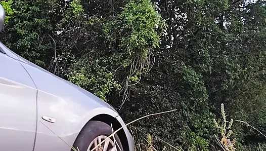 Took a short break from driving on a summers evening... cars driving by almost caught!