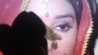 Indische Promi-Madhuri Dixet Sperma-Hommage