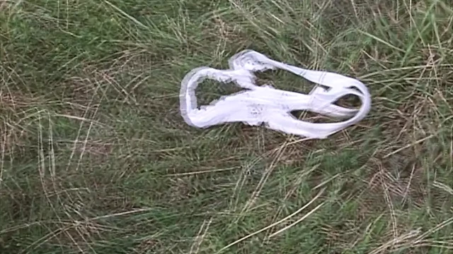 German slut goes wild with a big dick