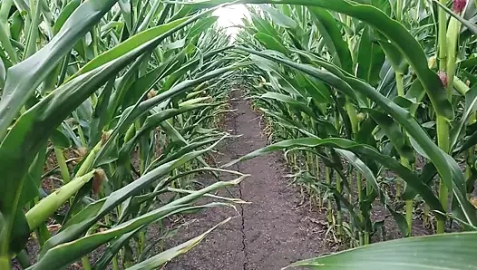 Naked Guy Pisses, Jerks Off and Cums in a Field