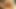 Teacher & Student Big-Boobed threesome