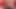 SISSY BITCH IN RED AND GOLD SEX FUCKING SHOW 5