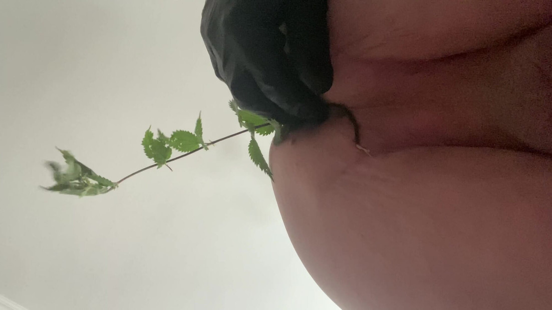 Stinging pleasure