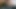 Gepiercter und abgebundener Schwanz mit Dildo im Arsch