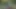 Der Tieger kommt und ich im Spandex Anzug