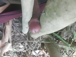 Băiat de burlac în videoclip sexual în pădure