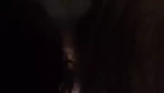 Pipa