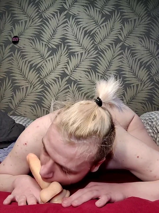 Hãy bú cu của bạn làm ơn