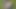 شقراوات سحاقيات سمينة في الغابة