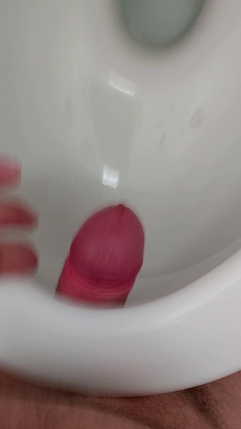 当你的女主人想要你玩这些小狗的时候