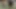 Horoz aç hile Asya milf aranan büyük çük