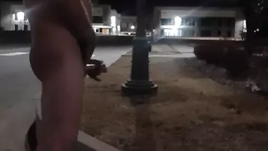 Aurora ağ geçidi parkı jackin kamyon şoförü