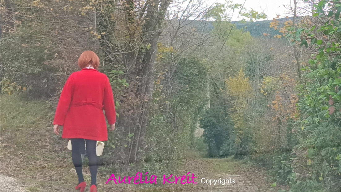 Christmas is approaching, Santa Girl is out to prepare Santa's tour: