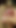 若いラテン系男がチンポを喜ばせるgif