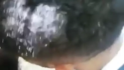 muy  peludo