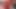 ديسي كس ضيق المتشددين اللعنة طقوس العافية والشباب. سخيف XXX الفيديو