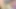 My stepbrother makes me orgasm very fast in doggy style -4K