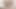 الملاك الآسيوي 25554