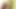 Hot TS Shemale Fuck Cute Girl and Cum in her nice Face