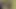 Video ön izlemesi