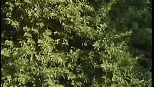 Geiles paar hat wilden sex auf dem sprungbrett