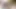 POV Hairy Daddy Cock to Worship