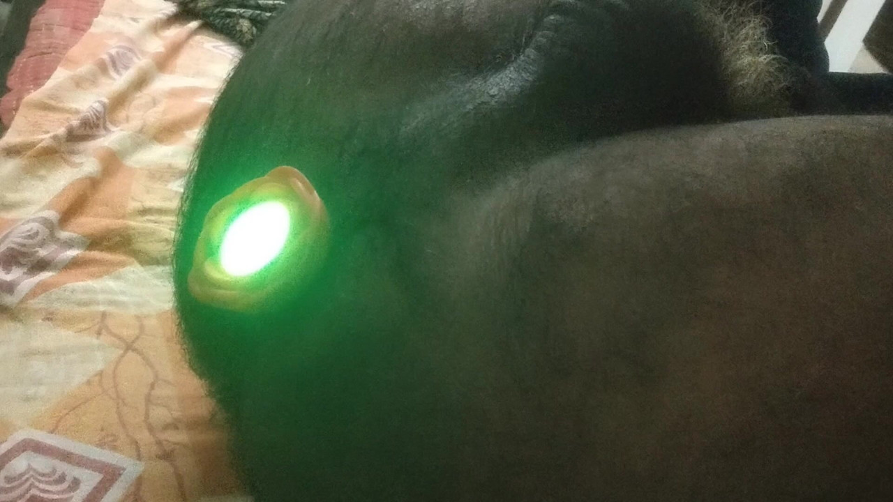 LED ile göt tıkacı. Bu kısada 10 titreşim modu gösteriliyor. Tam video yakında geliyor.