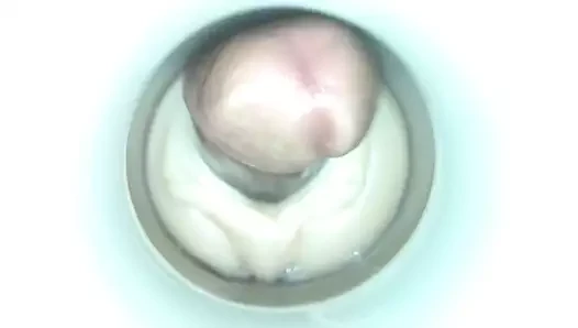 döl cam adam tarafından tohumlama