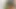 My boyfriend came home from the gym and I immediately went down on his sweaty cock.