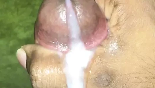 Cum gelen 8 inç horoz