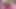 スージー・ワイルドとふざける