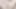 Bu büyük dildodan nasıl boşaldığımı ve tadını çıkardığımı görmelisin! Mahmuzlara boşalmayı seviyorum, amcığım çok ıslak