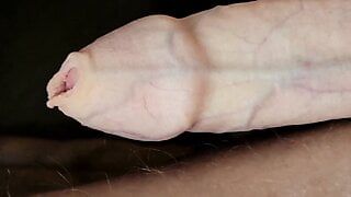 Foreskin Play Close-Up