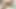 Hintli güzel delhi yenge porno videosu izliyor ve göğüslerine bastırıyor sonra genç ofis arkadaşı görülüyor ve yatakta ateşli seks yapıyor