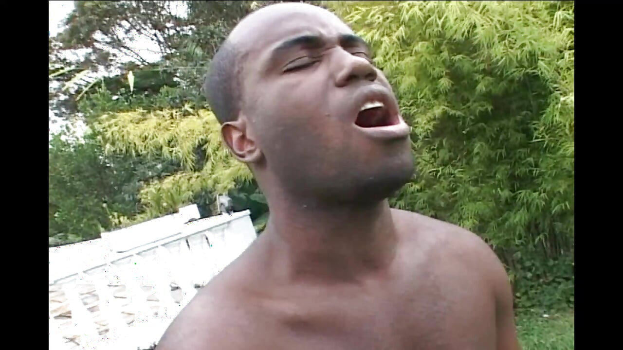 Islak götüm için çok sert büyük zenci yarak yarak cilt 1