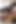 Ticket Show Chaturbate Cum Show Analdpatm