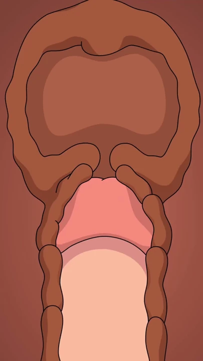 家庭家伙PETER CREAMPIES LOIS完整视频 | 短片 2