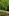 Maidstonenakedman loopt naakt in het bos van Bluebell Hill.