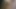 Kari Foxx, Tiffany Blake & Tami Lee Curtis: Retro Orgy