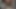 Die schöne Latina ging zu einer Fotosession und endete mit einem großen Schwanz in ihrer Muschi - Porno auf Spanisch
