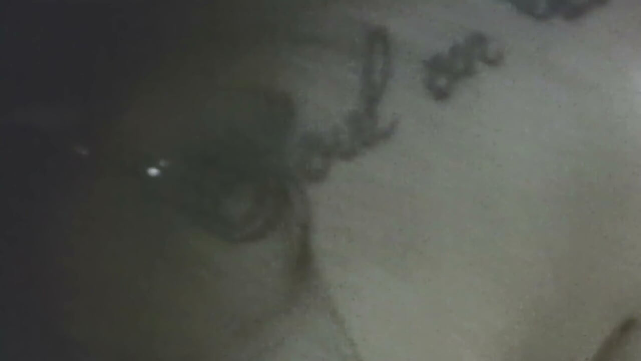 Belly Piercing Brunette Rides Him on the Pink Sofa - Slim Body Fucked Close-up