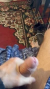 Videó előnézete
