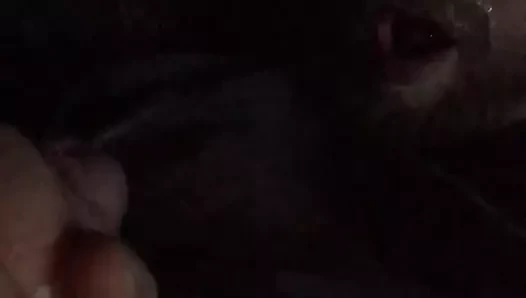 Kendi kendine yüze boşalma