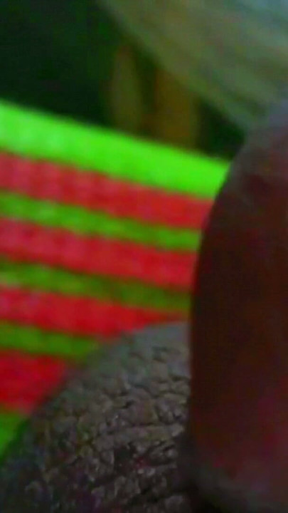 Desi ka gay  papa la chota beta ka pasand budh | Clip 1