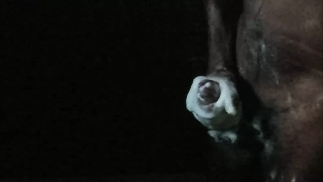 is going on in the dark...