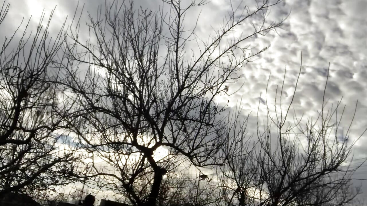 Tökéletes nap a nagy melleknek